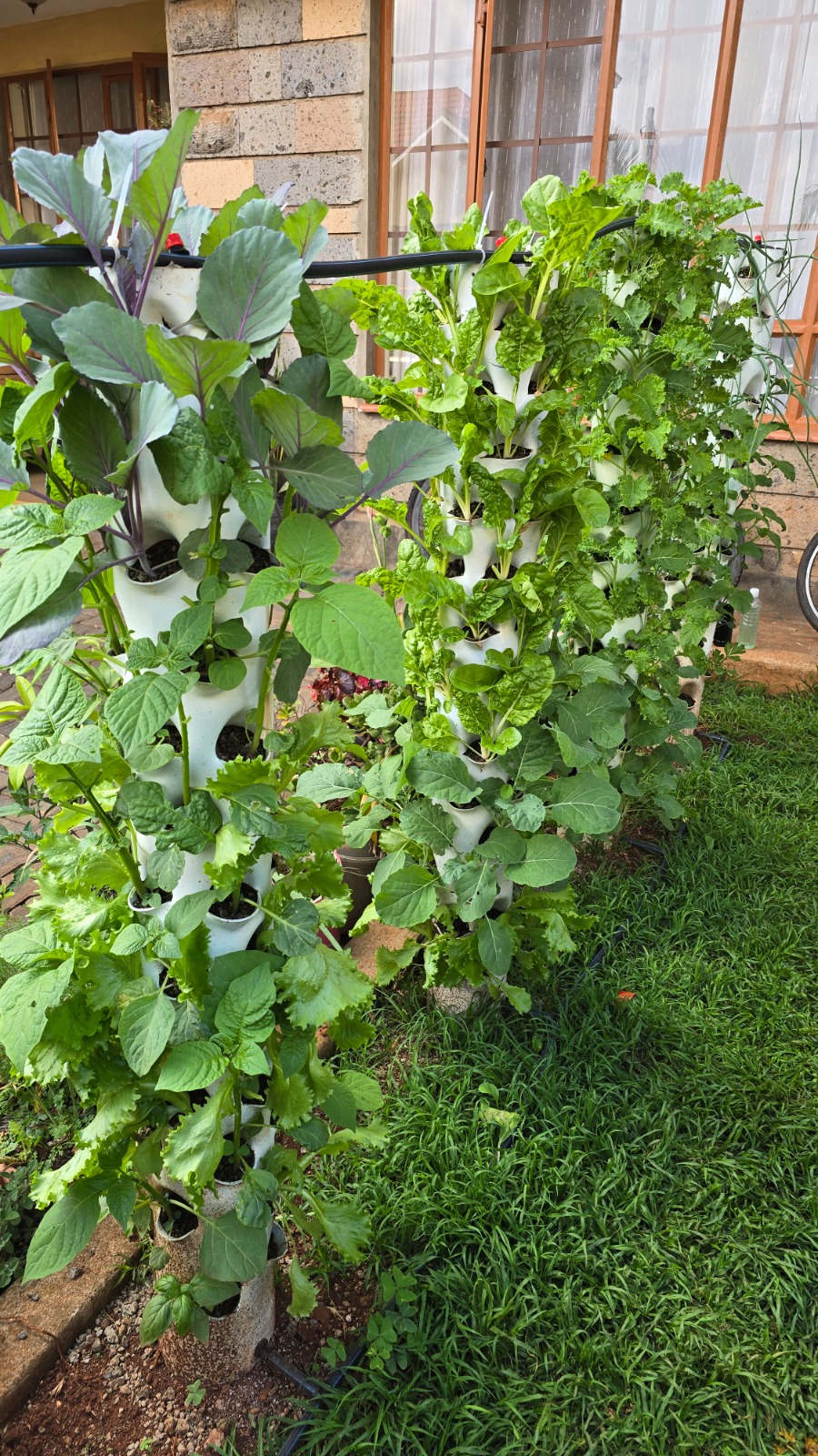 Tower garden commercial